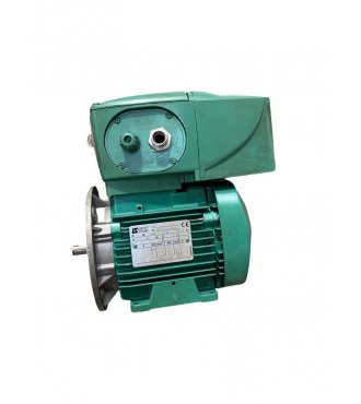 Motor Leroy Somer LS 71 L mit Antrieb Leroy Somer VMAA21T055