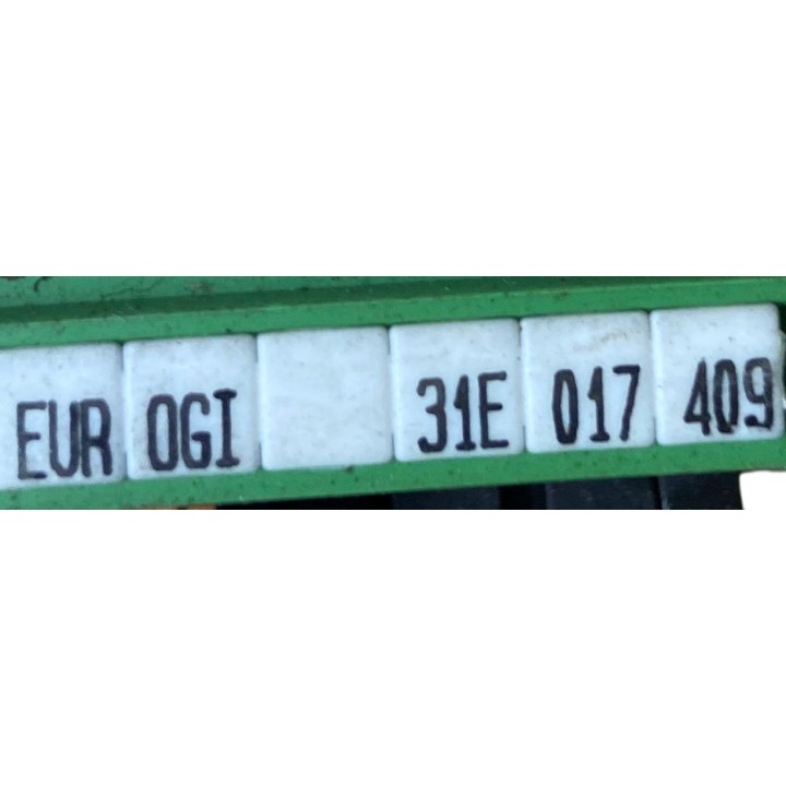 Module EUROGI 31E017409