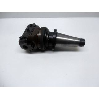 Wohlhauper testa noiosa