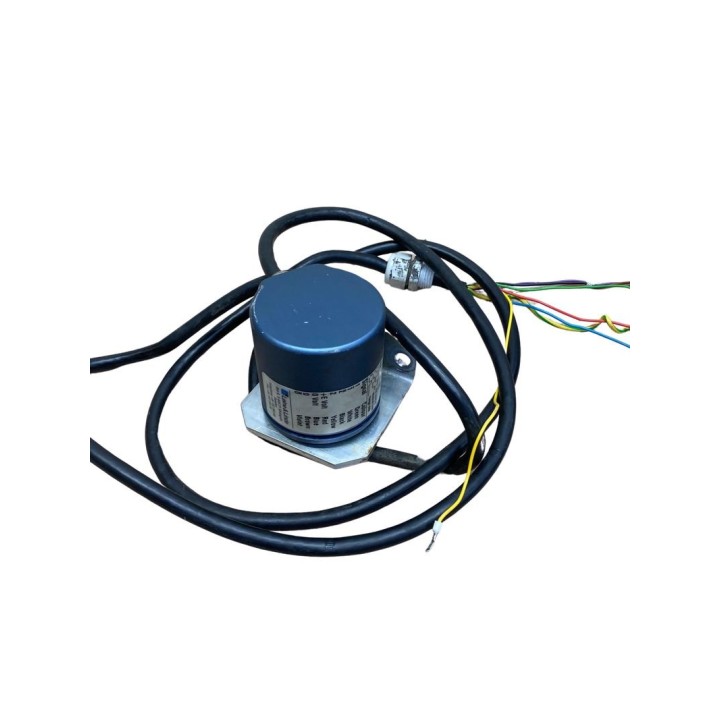 LANA E LINO 632001951